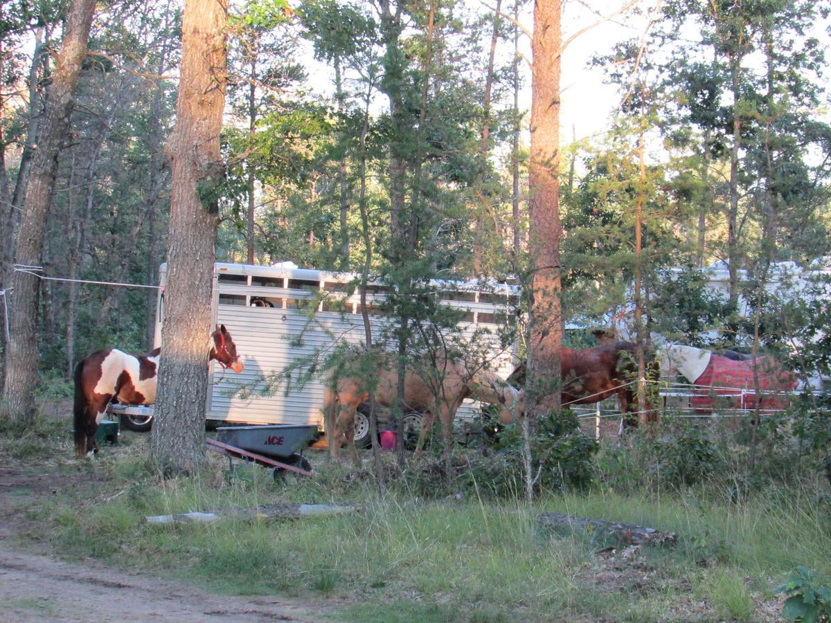 Best Bear Lodge & Campground Irons ภายนอก รูปภาพ